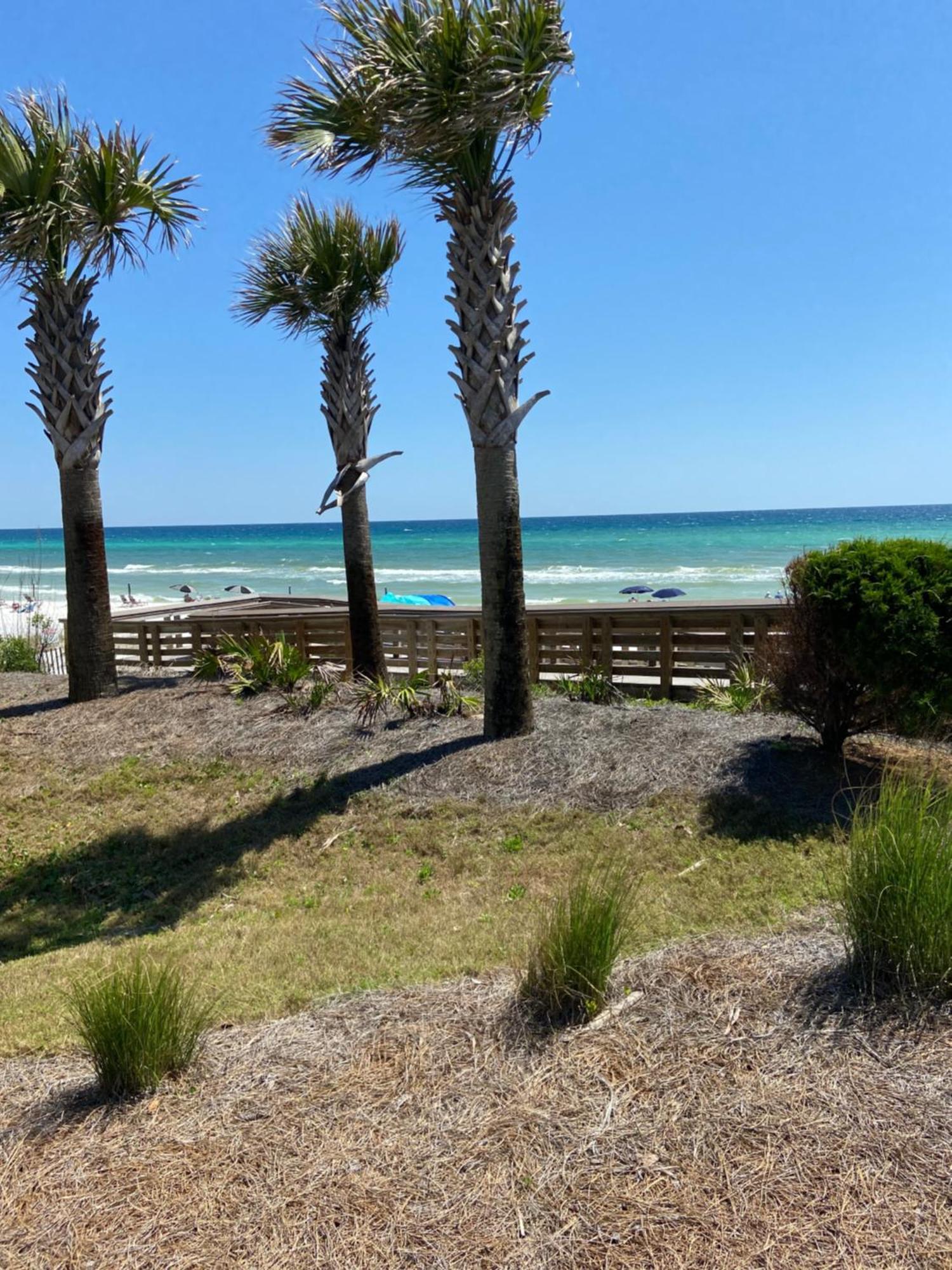 Aparthotel The Palms Of Destin 2114 Exterior foto